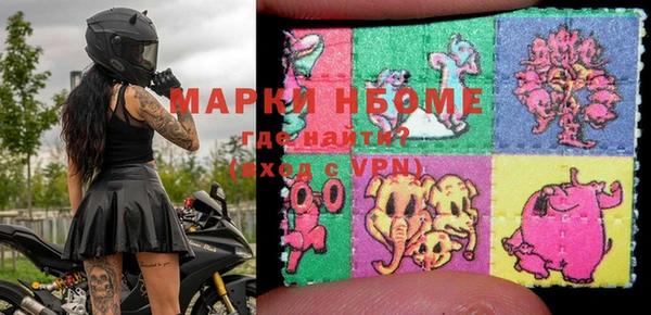 шишки Бородино