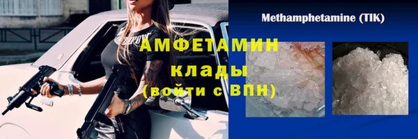 шишки Бородино