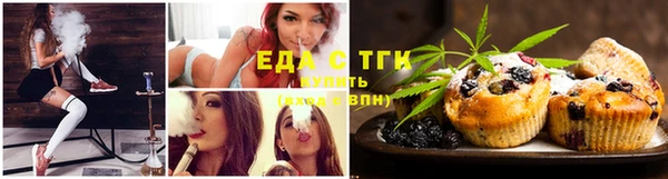 шишки Бородино