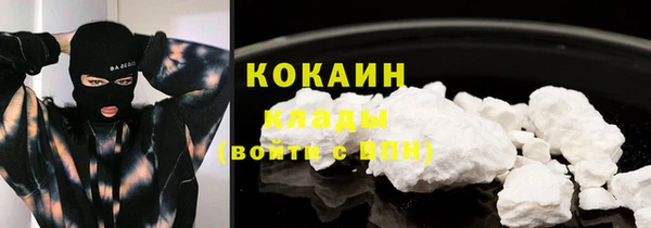шишки Бородино