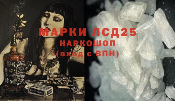 шишки Бородино