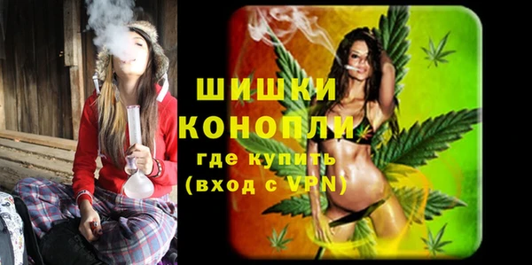 spice Бронницы