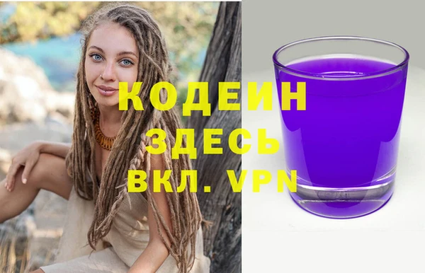 шишки Бородино