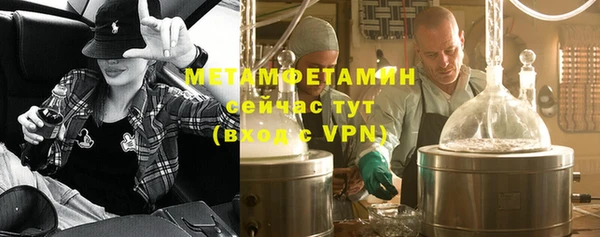 шишки Бородино